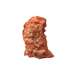 Filet de bois allume-feu 25 dm³ — BUCHEVIA